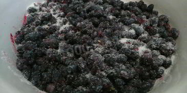 джем из жимолости