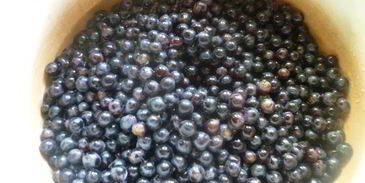 виноградно-сливовый джем