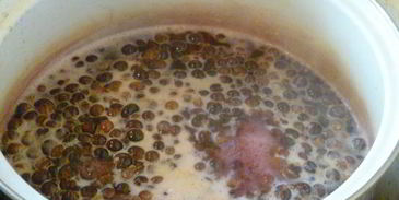 виноградно-сливовый джем