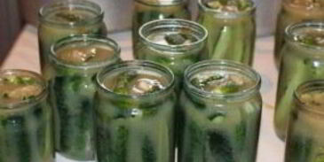 горчичные огурчики на зиму