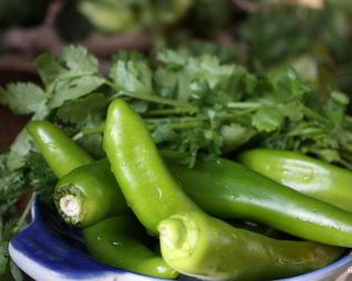 Горький перец квашеный