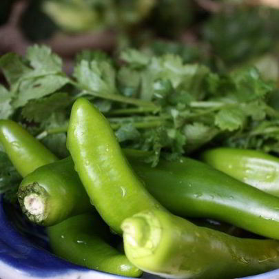 Горький перец квашеный