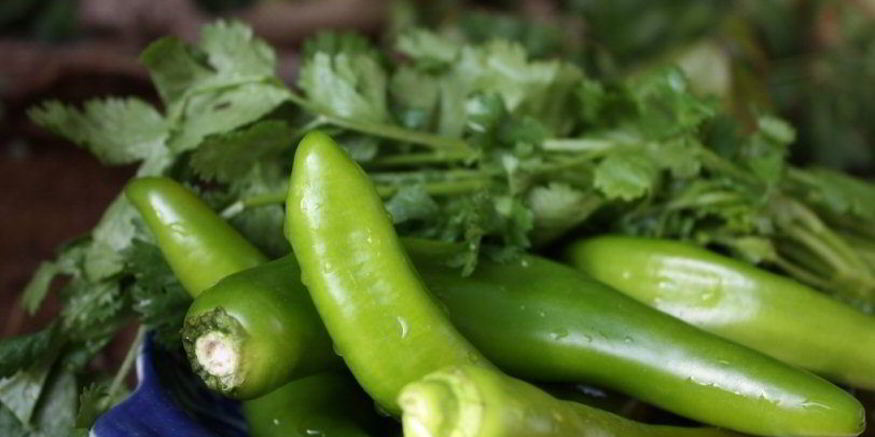 Рецепт горького перца квашеного