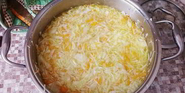 капуста салатная на зиму