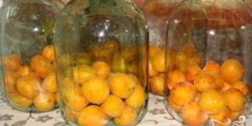 абрикосовый компот на зиму