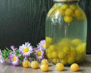 Компот из алычи на зиму