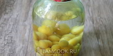 компот из алычи на зиму