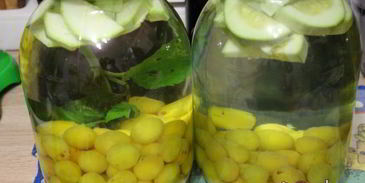 компот из алычи с кабачком