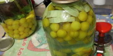 компот из алычи с кабачком