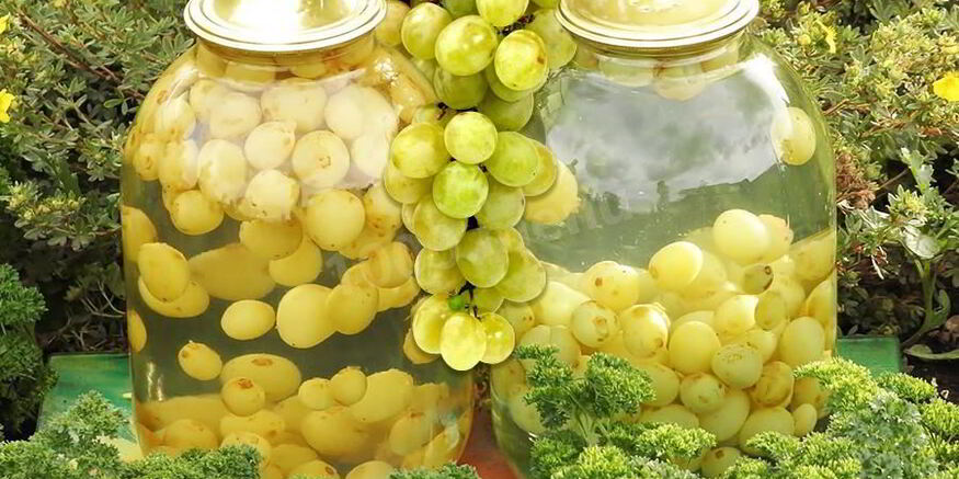 Рецепт компота из белого винограда