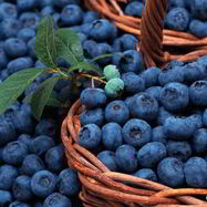 Рецепт Компота из голубики на зиму