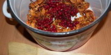 компот из калины и яблок