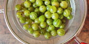 компот из крыжовника и мяты