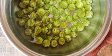 компот из крыжовника и мяты