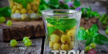 компот из крыжовника и мяты