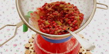 компот из ревеня и красной смородины