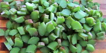 компот из ревеня и лесной малины