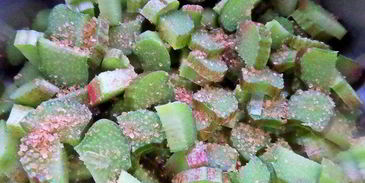 компот из ревеня и лесной малины