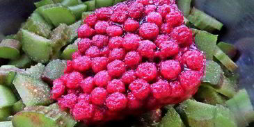 компот из ревеня и лесной малины