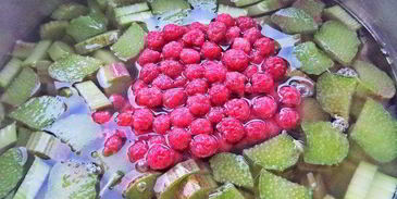 компот из ревеня и лесной малины