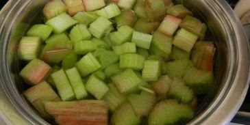 компот из ревеня со вкусом детства