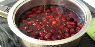 компот из шелковицы на зиму