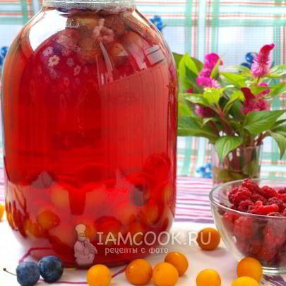 Компот из терна, алычи и малины на зиму