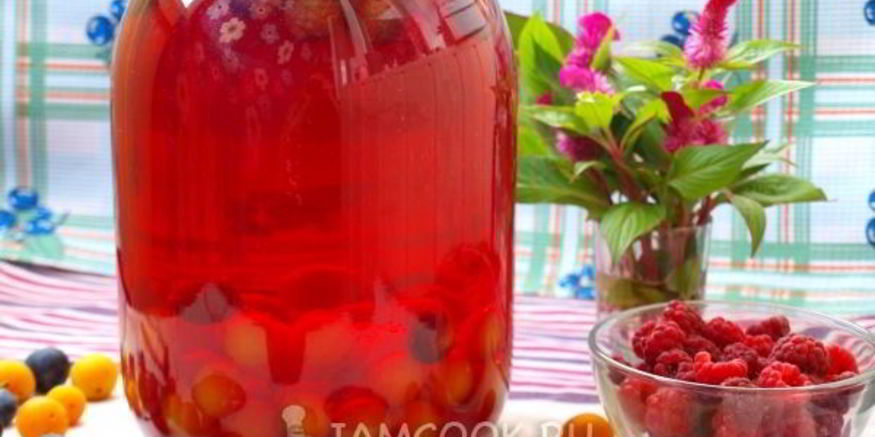 Рецепт компота из терна, алычи и малины на зиму