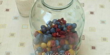 компот из терна, алычи и малины на зиму