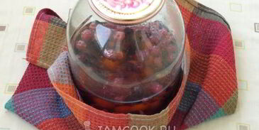 компот из терна, алычи и малины на зиму