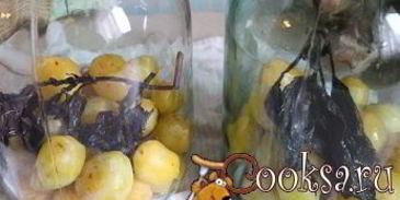 сливовый компот с базиликом на зиму