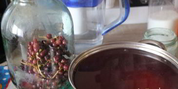 виноградный компот на зиму