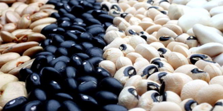 Рецепт консервированной фасоли