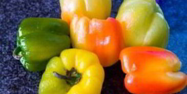 лечо из перца и помидоров