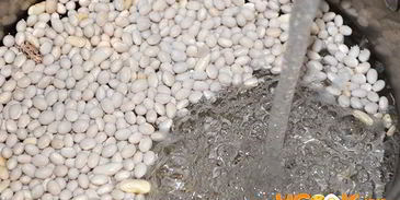 лобио на зиму