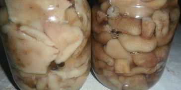 грибочки маринованные