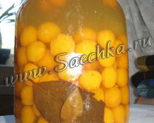 Маринованная алыча