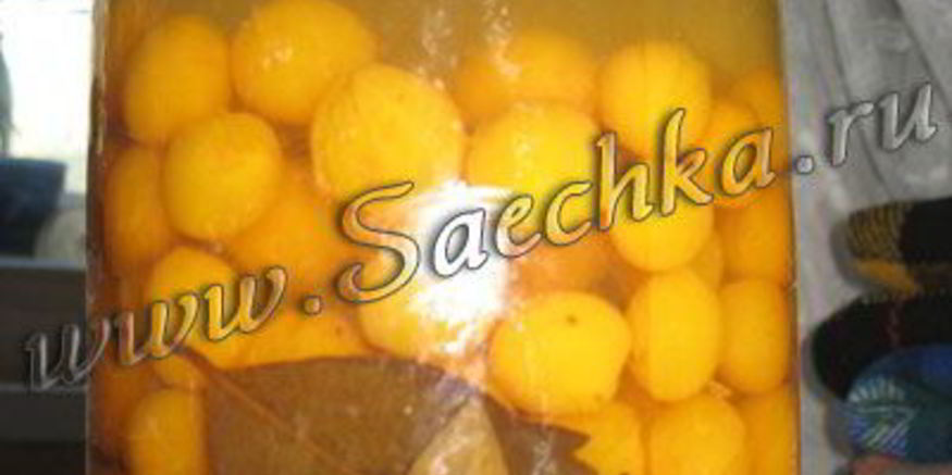 Рецепт маринованной алычи