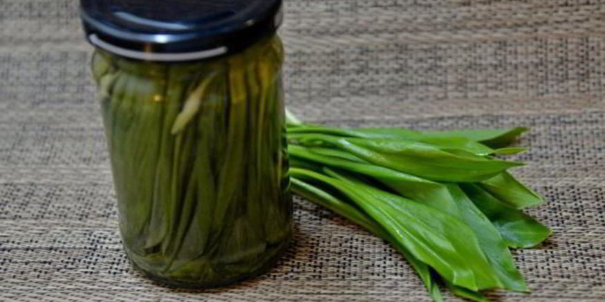 Рецепт маринованной черемши