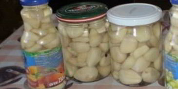маринованный чеснок на зиму