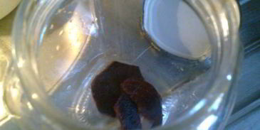 маринованный лук