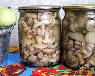 Маринованные маслята