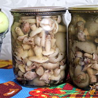 Маринованные маслята