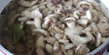 маринованные маслята