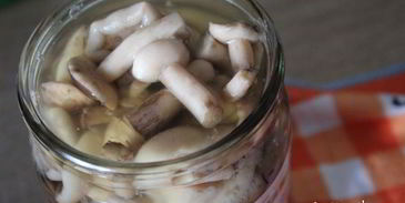 маринованные маслята