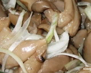 Маринованные вешенки