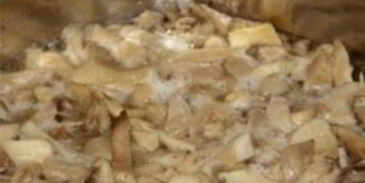 маринованные вешенки