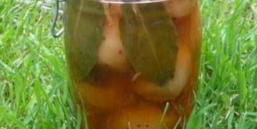 маринованные яблоки на зиму