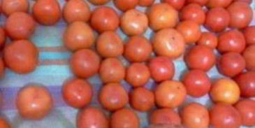 помидоры маринованные сладкие