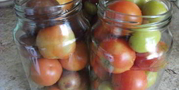 помидоры маринованные со сливой